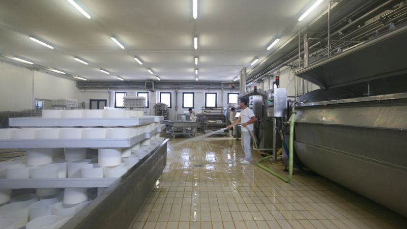 CASEIFICIO PALENI