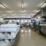 CASEIFICIO PALENI