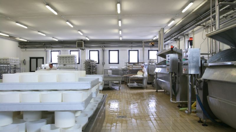 CASEIFICIO PALENI