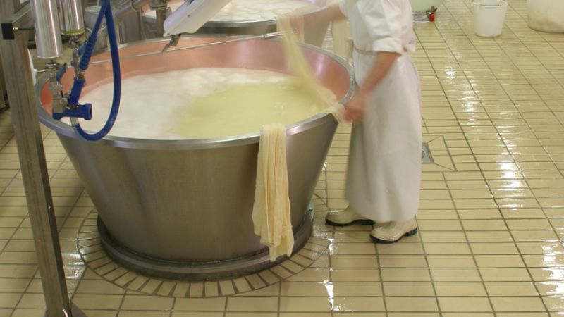 VECCHI CASEARIA