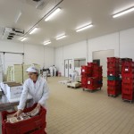 EUROCHEF ITALIA SRL