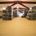 PACENTI SIRO MONTALCINO