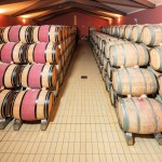 PACENTI SIRO MONTALCINO