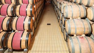 PACENTI SIRO MONTALCINO