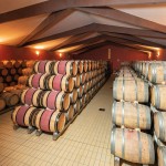 PACENTI SIRO MONTALCINO