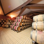 PACENTI SIRO MONTALCINO