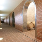 VINICOLA BRONI