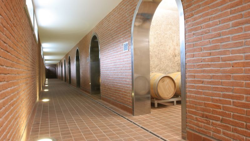 VINICOLA BRONI