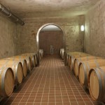 VINICOLA BRONI