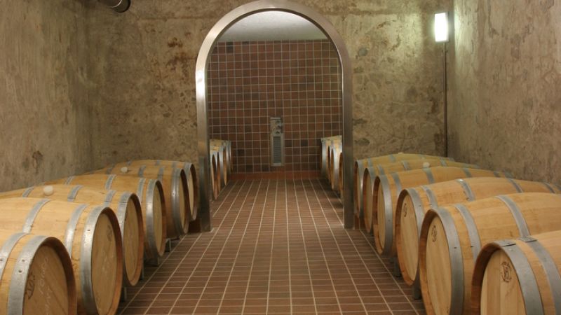 VINICOLA BRONI