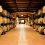 LENOTTI CANTINE