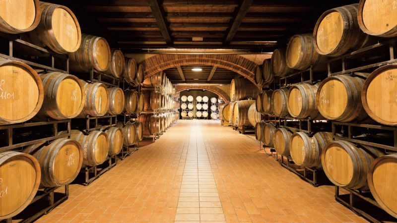LENOTTI CANTINE