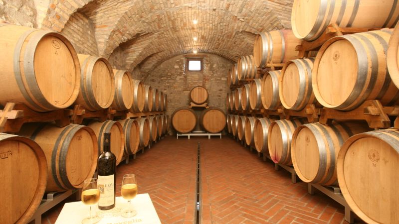 TENUTA ROVEGLIA