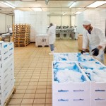 ACQUA AZZURRA