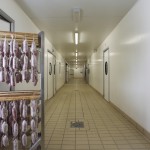 SALUMIFICIO CASTOLDI