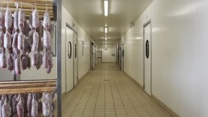 SALUMIFICIO CASTOLDI