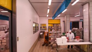 EFFESALUMI SRL