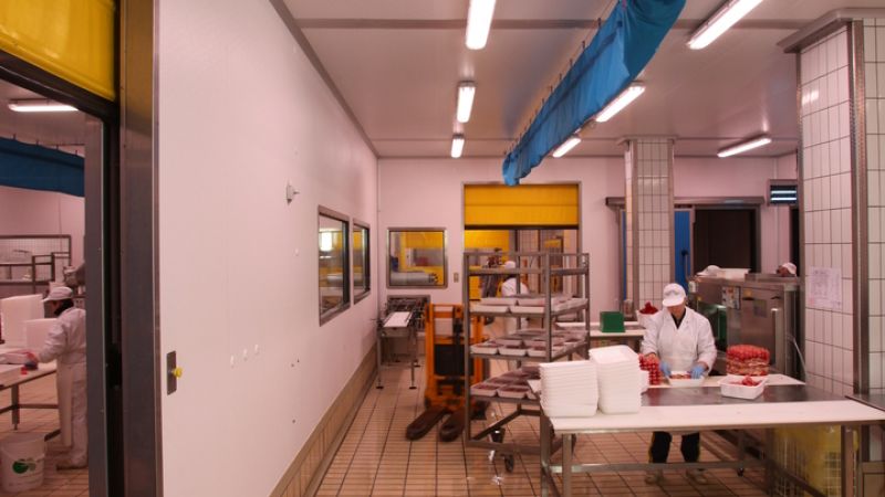 EFFESALUMI SRL