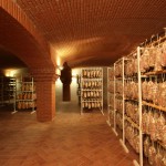 SALUMIFICIO PEVERI CARLO