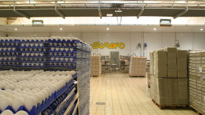 EUROVO